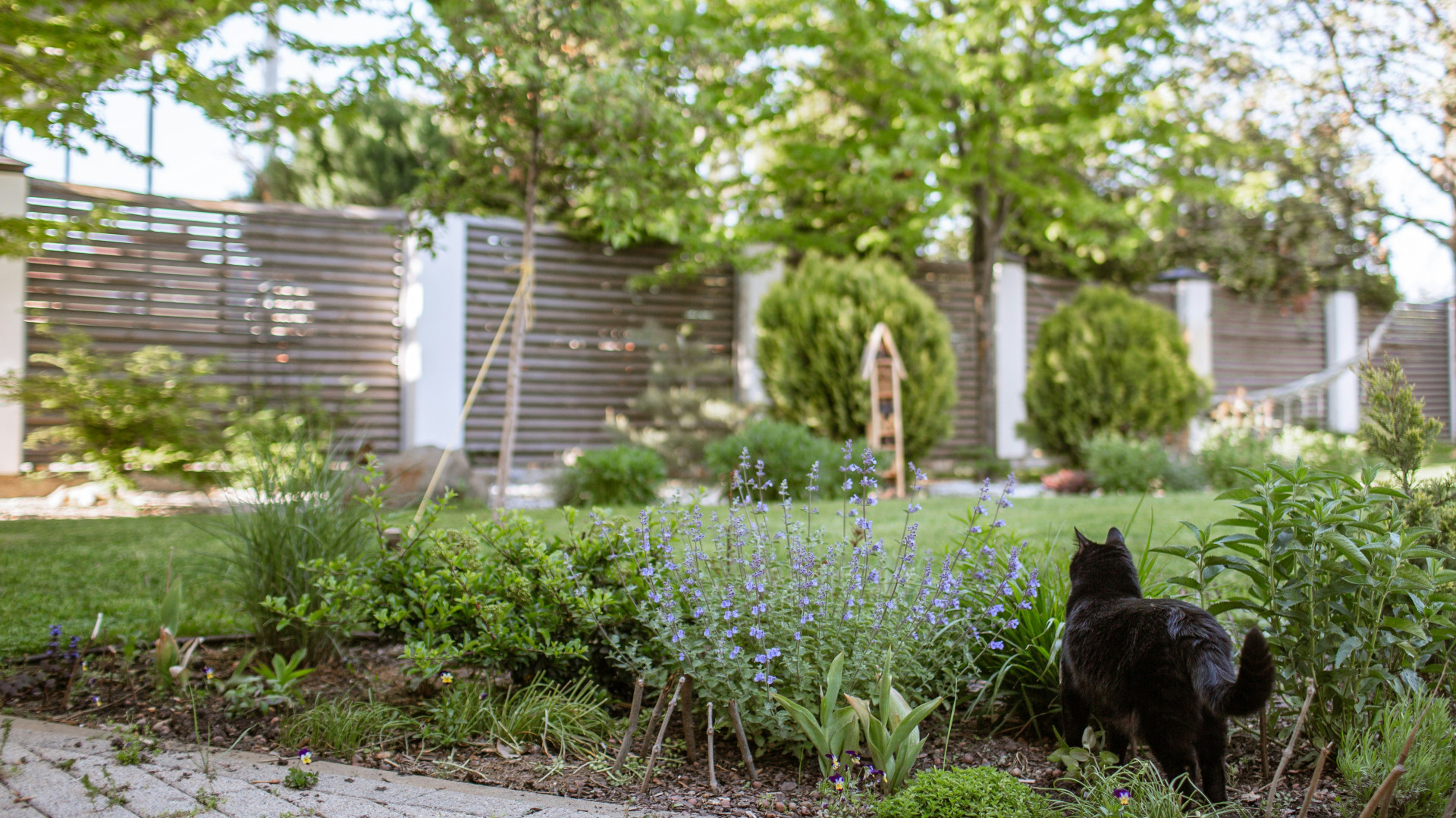 Comment préserver l’intimité dans son jardin sans alourdir l’espace ?