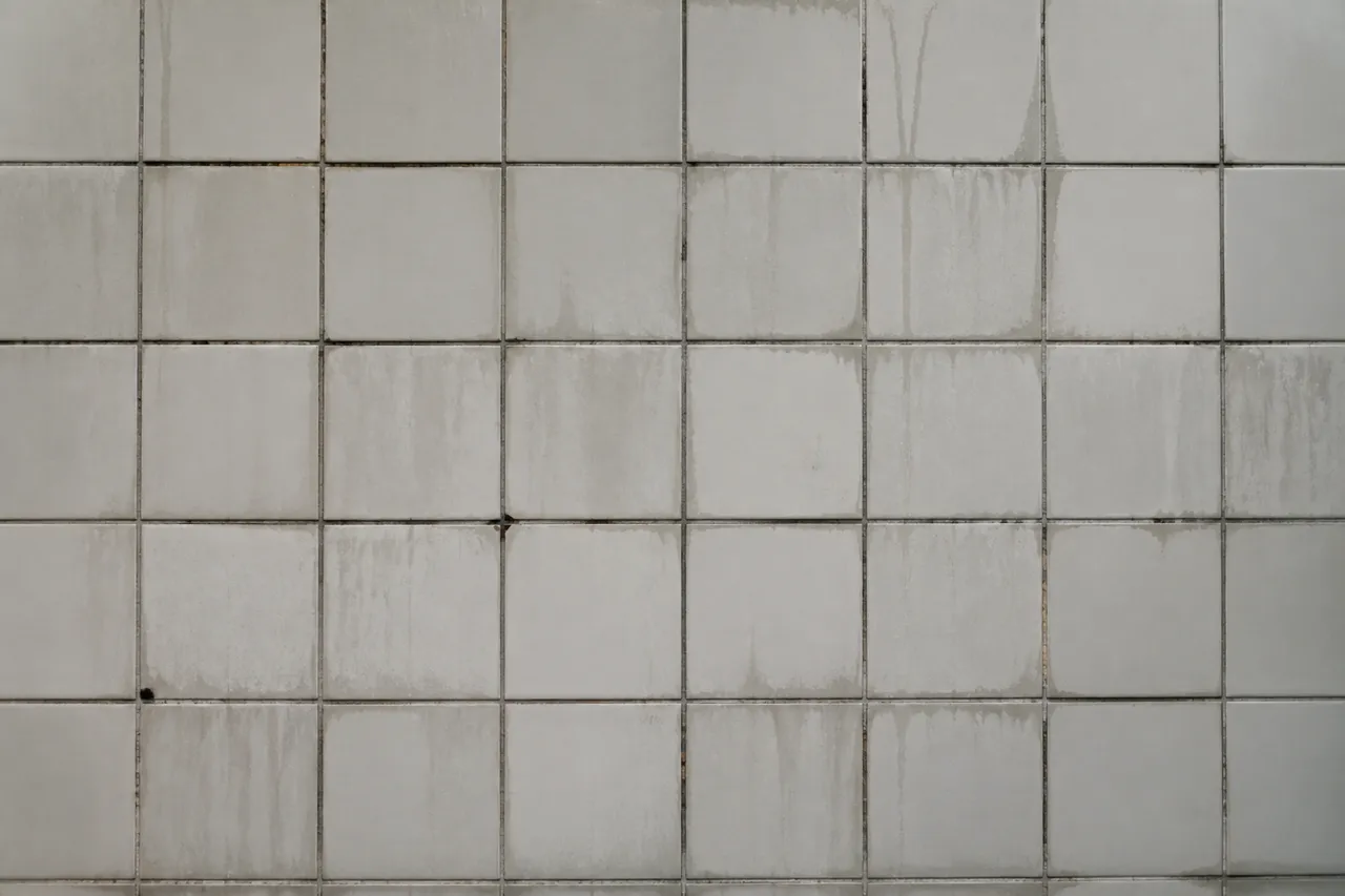 Mur humide avec joint de carrelage défaillant